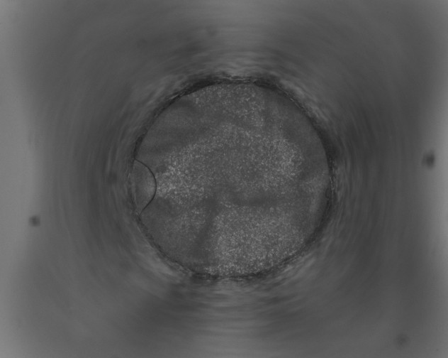 X0000090871009200708241915