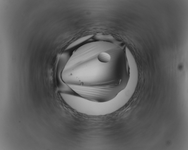 X0000090871010200708241915