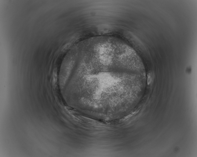 X0000090871011200708241915