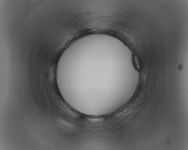 X0000090871012200708241915