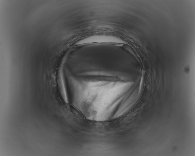 X0000090871013200708241916