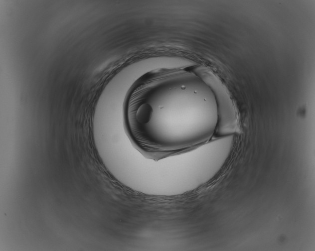 X0000090871014200708241916