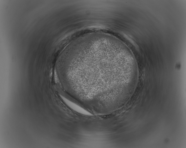 X0000090871015200708241916