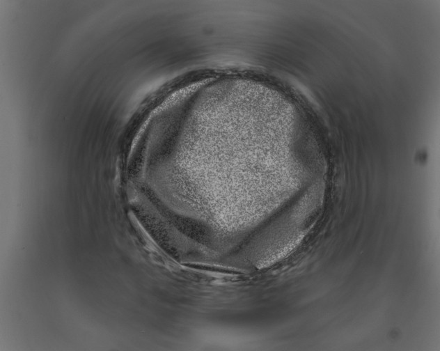 X0000090871016200708241916