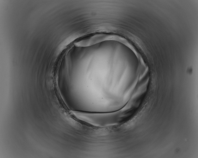 X0000090871018200708241916