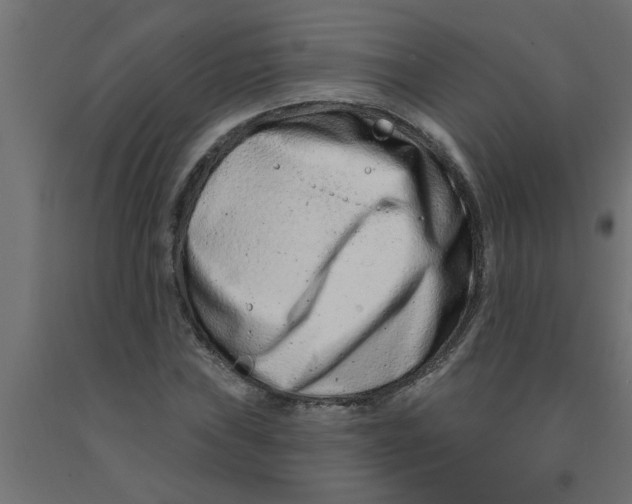 X0000090871019200708241916