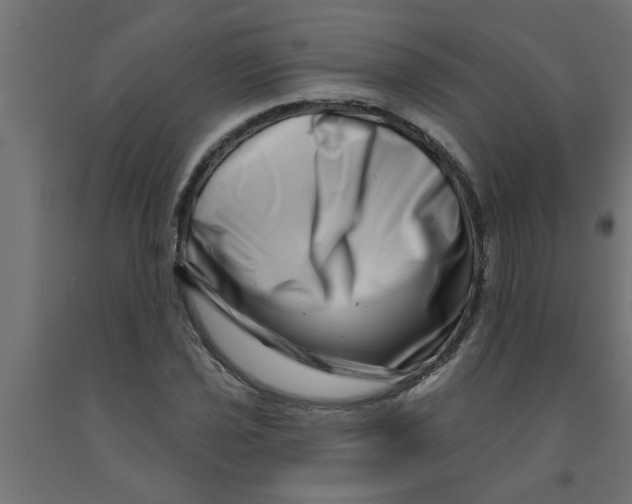 X0000090871021200708241916