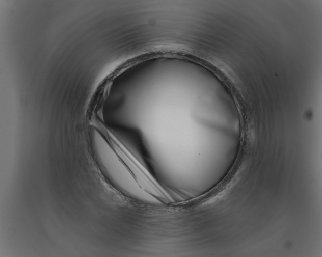 X0000090871022200708241916