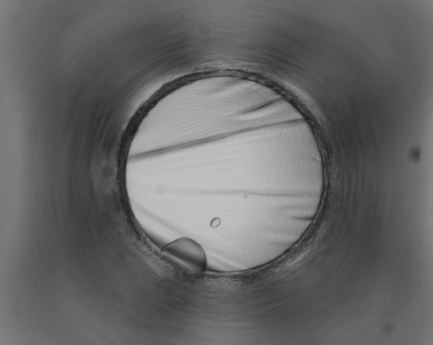 X0000090871023200708241916