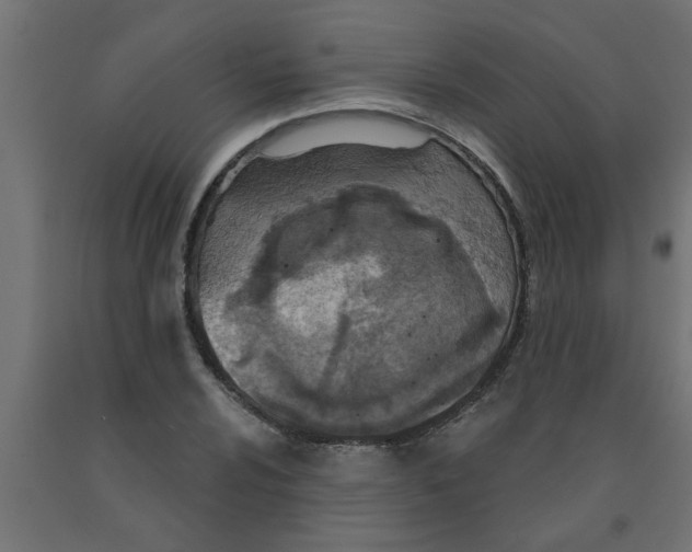 X0000090871024200708241916