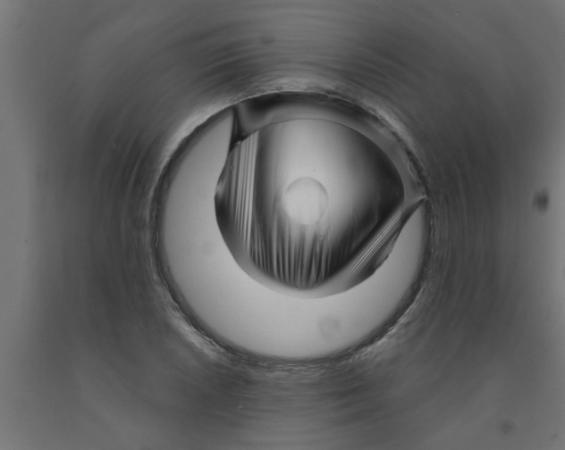 X0000090871026200708241916