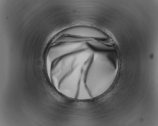 X0000090871027200708241916