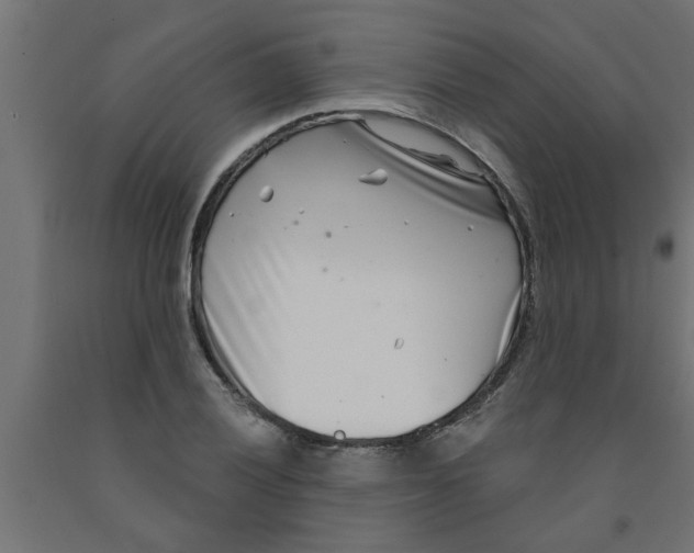 X0000090871028200708241916