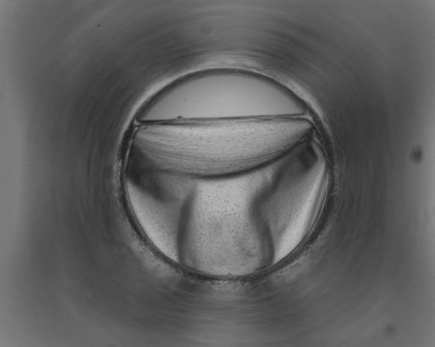 X0000090871029200708241916