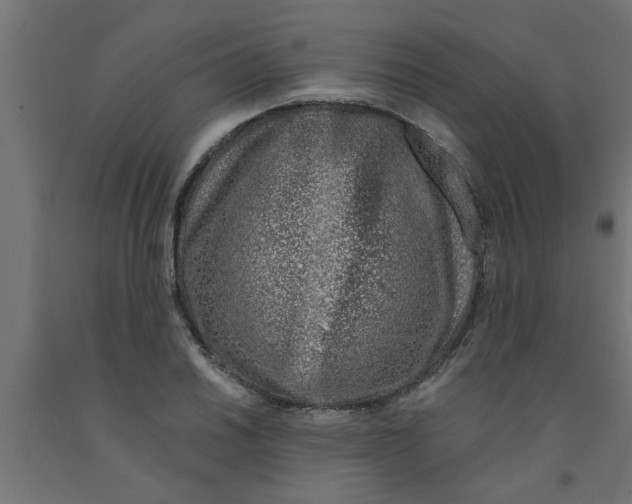 X0000090871030200708241916