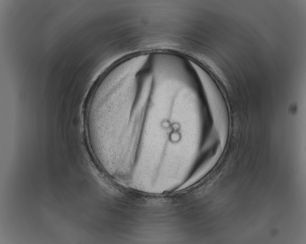 X0000090871031200708241916