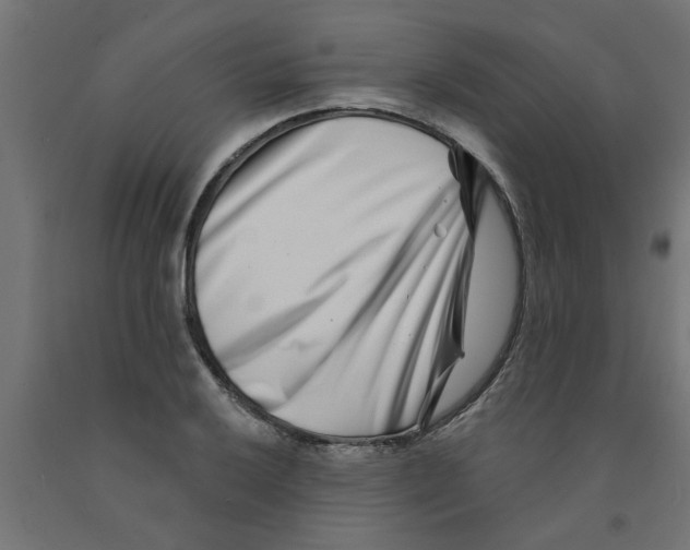 X0000090871032200708241916