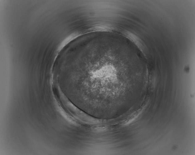 X0000090871034200708241916