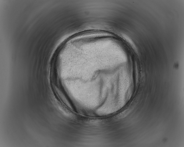 X0000090871035200708241916