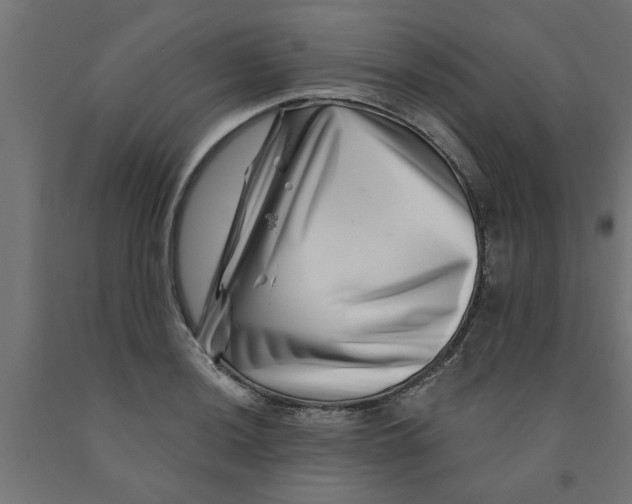 X0000090871036200708241916