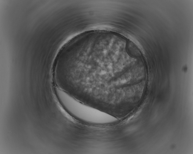 X0000090871037200708241916