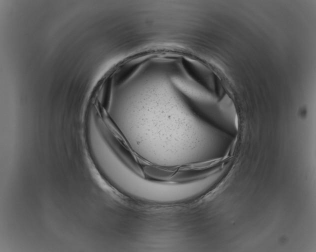 X0000090871038200708241916