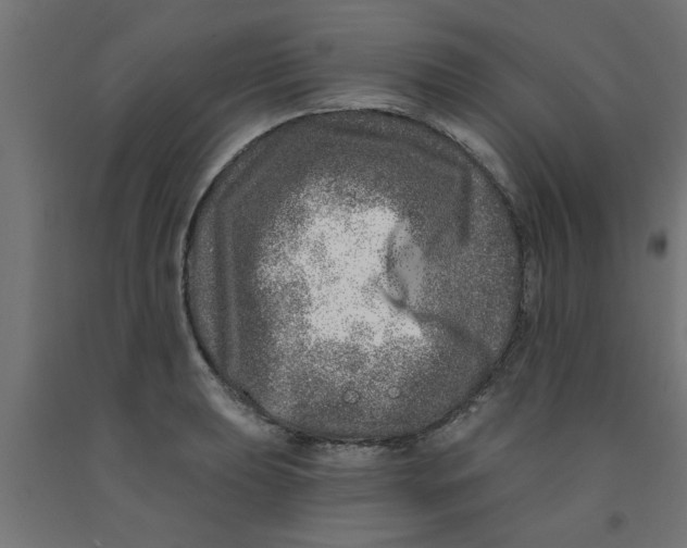 X0000090871039200708241916