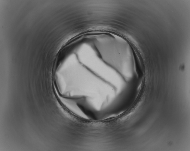 X0000090871041200708241916