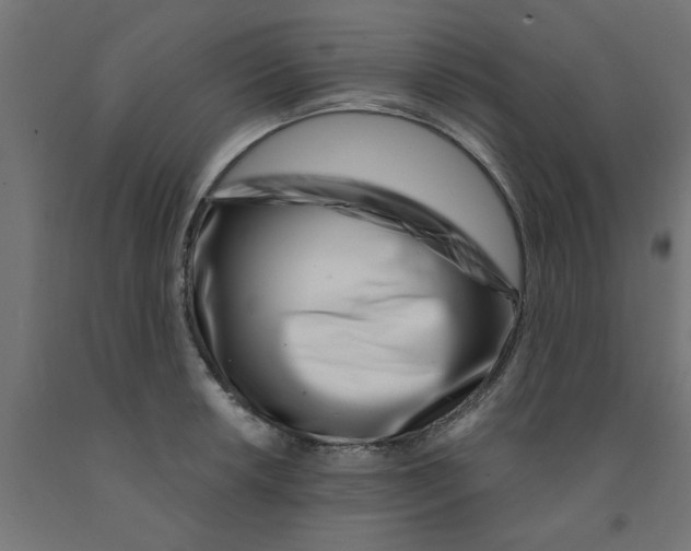 X0000090871042200708241916