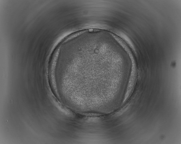 X0000090871043200708241916