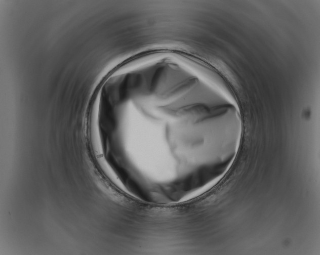 X0000090871044200708241916