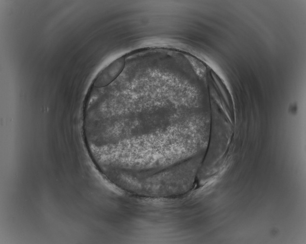 X0000090871045200708241916