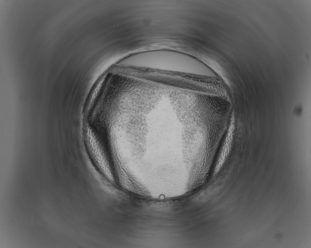 X0000090871047200708241916