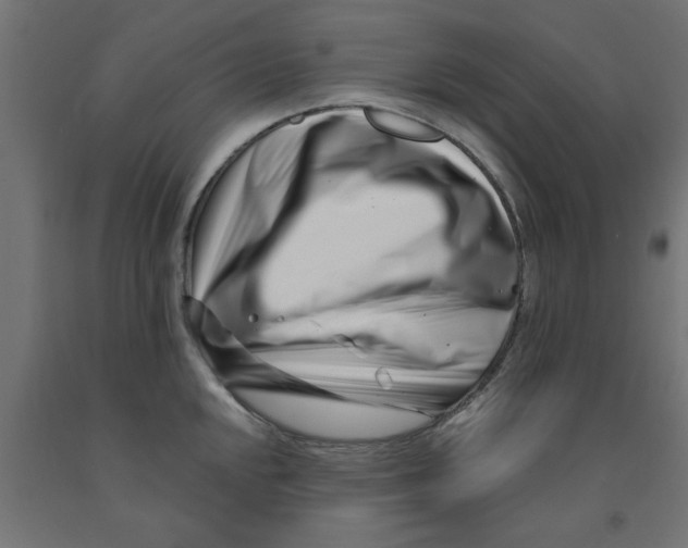 X0000090871048200708241916