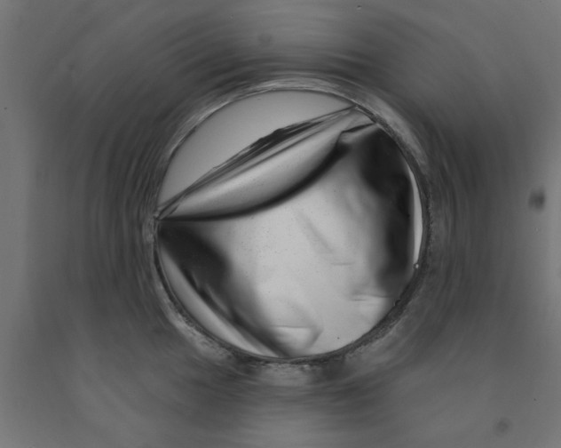 X0000090871049200708241916