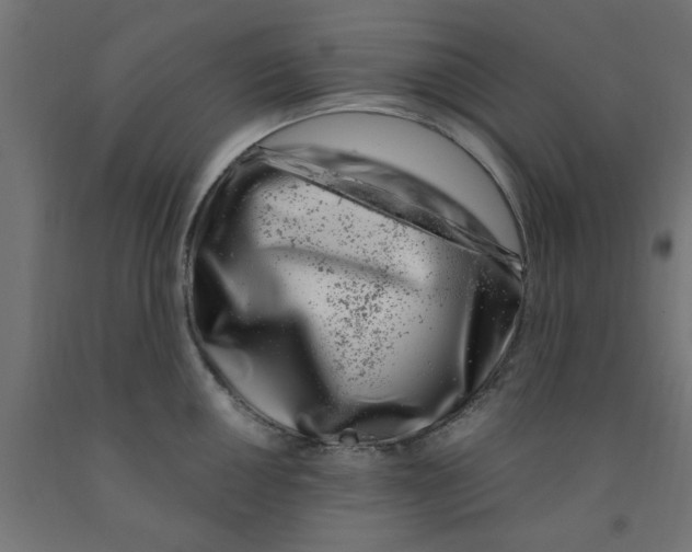 X0000090871050200708241916