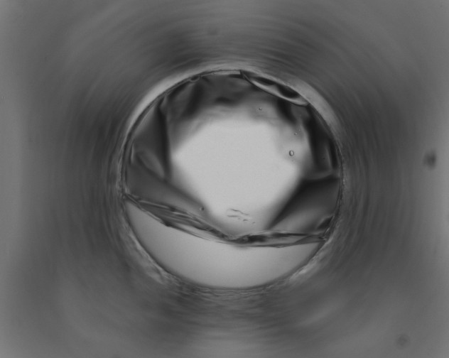 X0000090871052200708241916