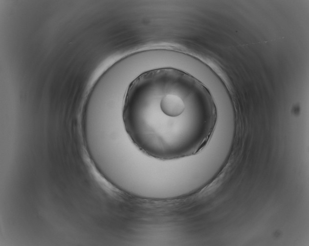 X0000090871054200708241916