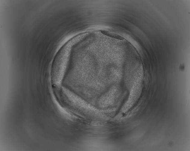 X0000090871055200708241916