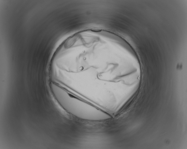 X0000090871056200708241916