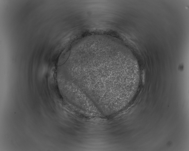 X0000090871059200708241915