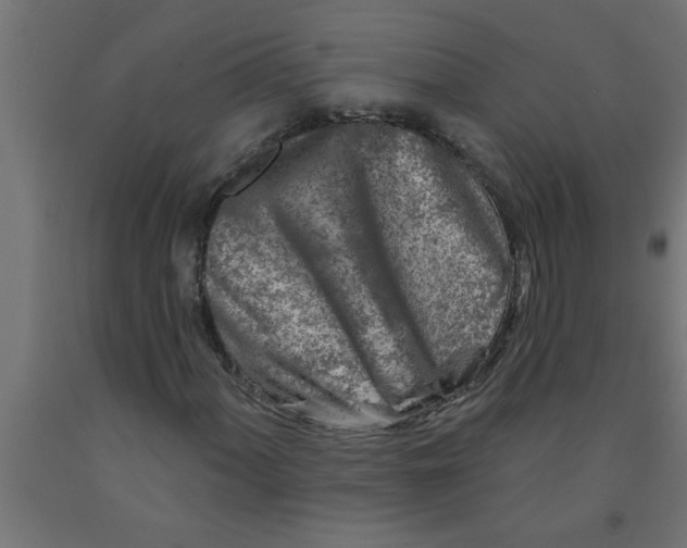 X0000090871060200708241915