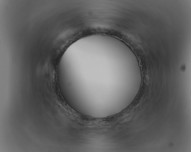 X0000090871061200708241915