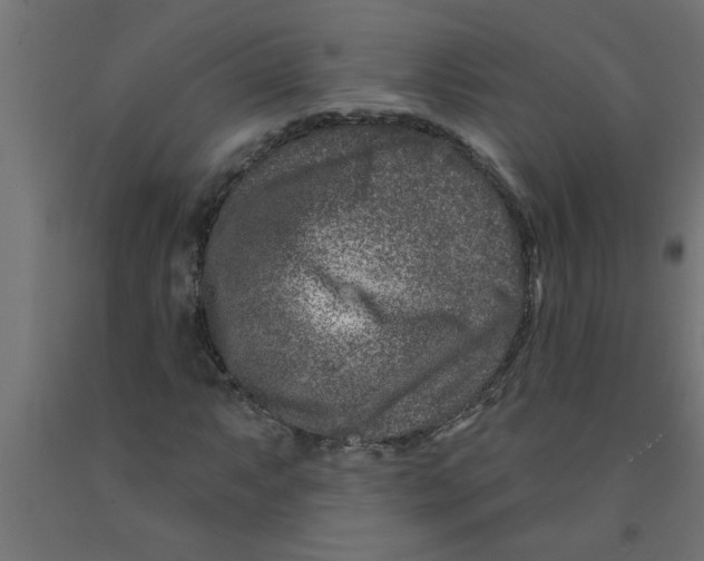 X0000090871063200708241915