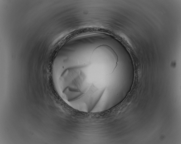 X0000090871064200708241915