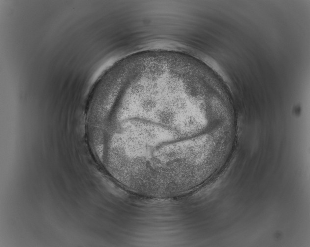 X0000090871067200708241915