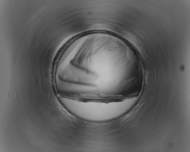 X0000090871068200708241915