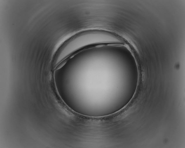 X0000090871069200708241915