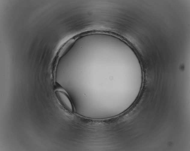 X0000090871070200708241915