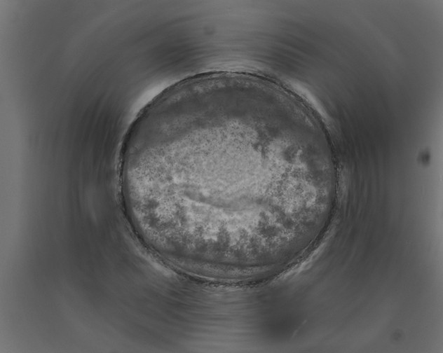 X0000090871071200708241915